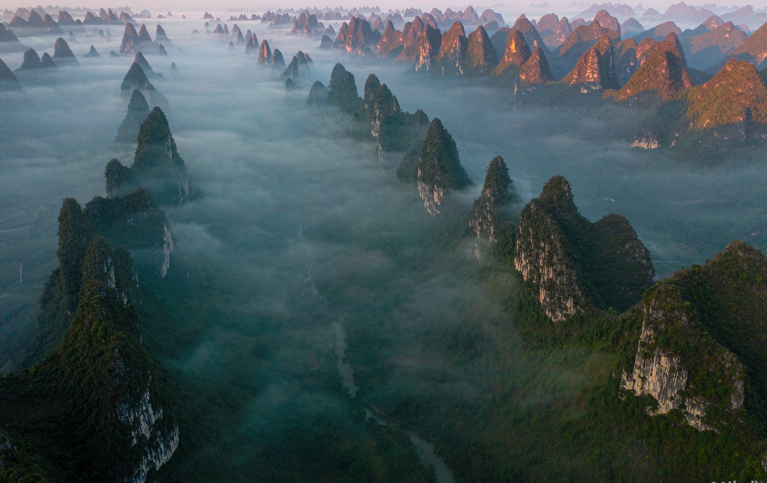 Misty sandstone pillars rising above a sea of clouds at sunrise in Zhangjiajie, China