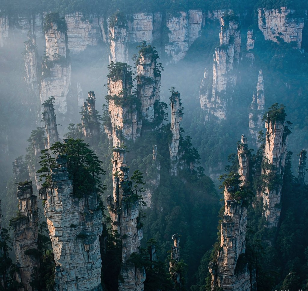 Sandstone pillars of Zhangjiajie in morning fog